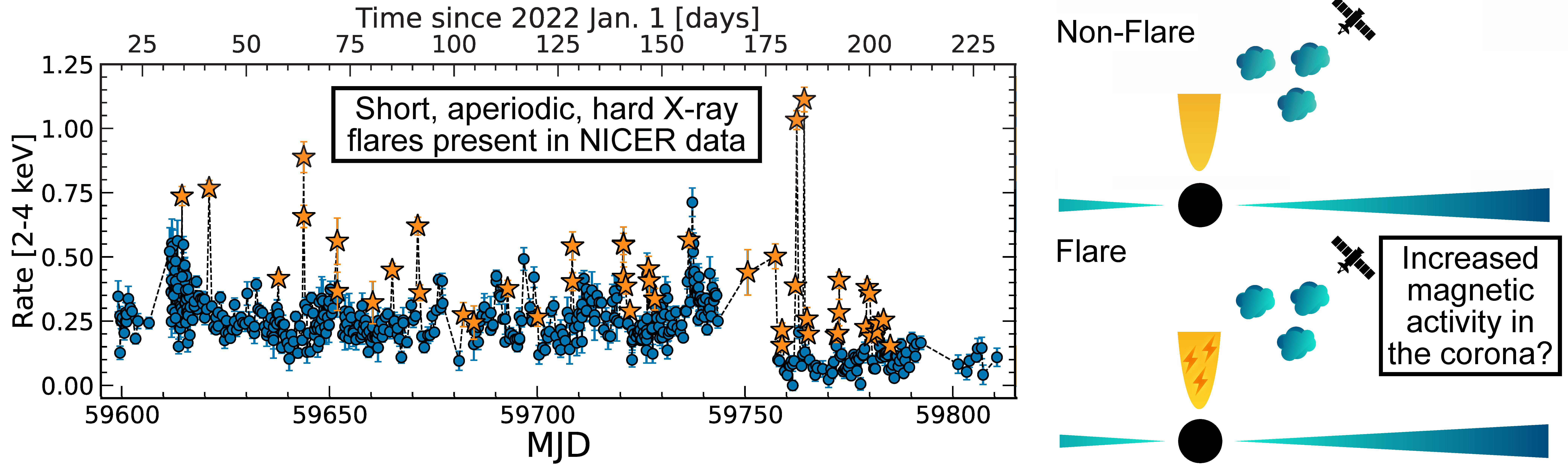 Left: X-ray light curve of AT2019cuk from NICER, with flares marked as orange stars. Right: schematic for flares from increased magnetic activity in the corona.