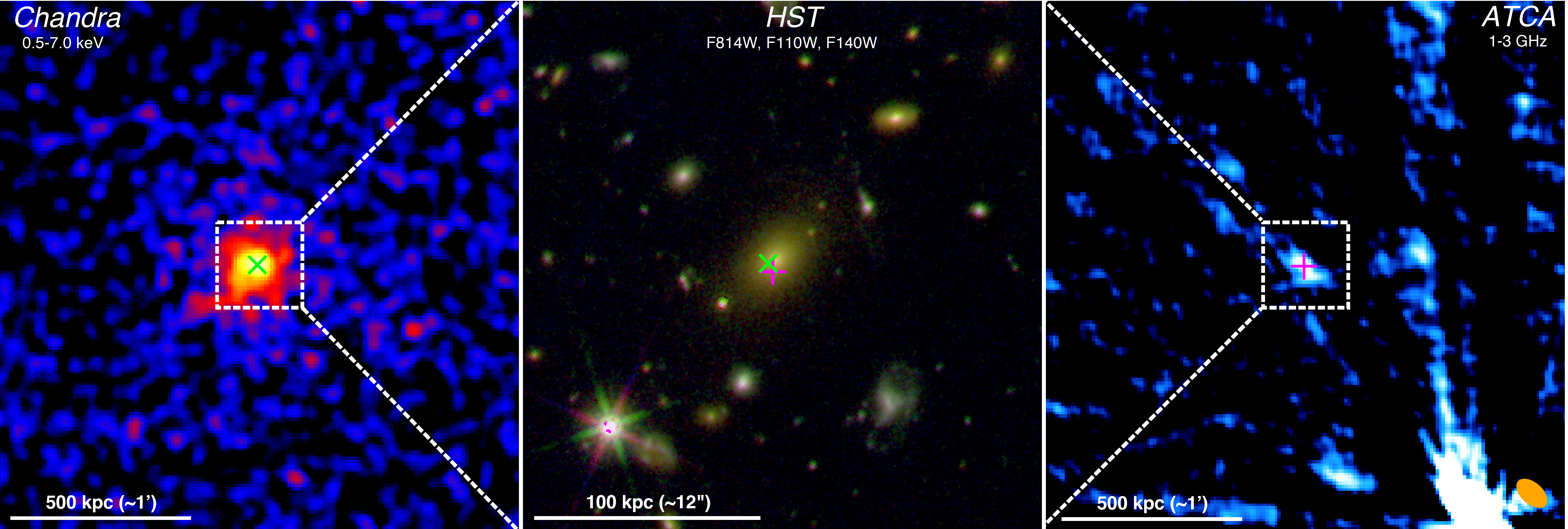 3-panel image of SPT-CL J0607-4448, showing on the left the X-ray image, in the center an RGB color image from Hubble, and on the right a radio image from ATCA at 2 GHz